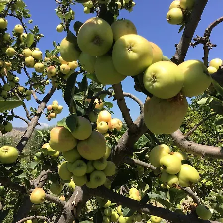 Pervolaris 1 Сasa de vacaciones *