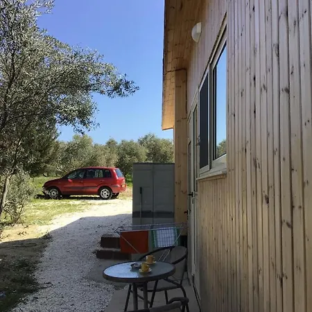 Pervolaris 1 * Goudhi