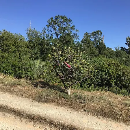 Pervolaris 1 Сasa de vacaciones Goudhi