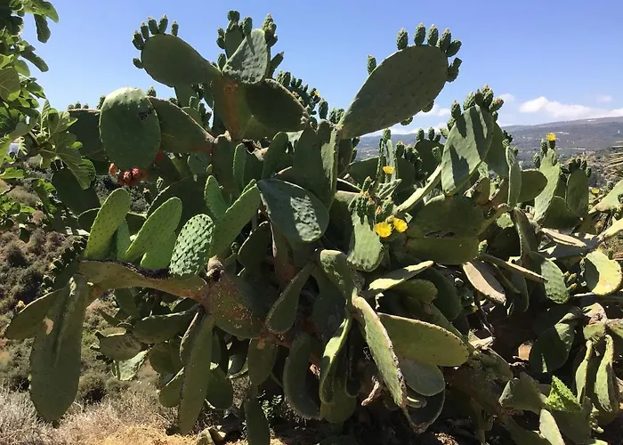 Pervolaris 1 Holiday home Goudhi