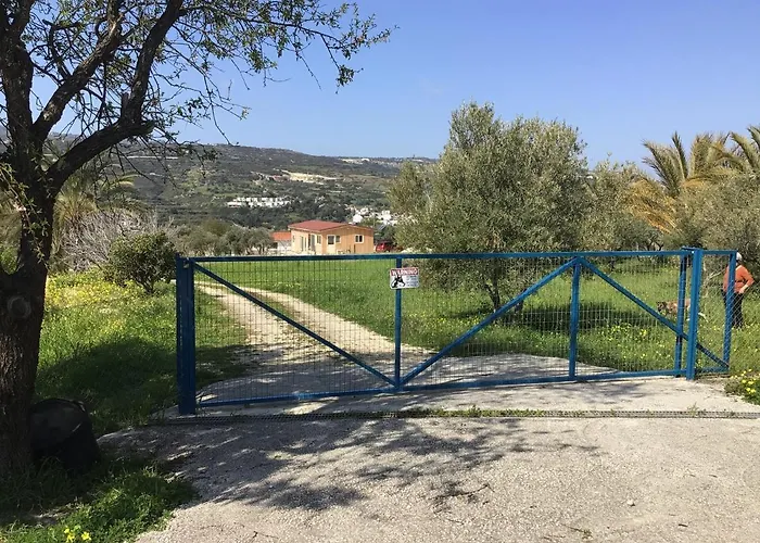 Pervolaris 1 * Goudhi