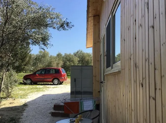 Pervolaris 1 * Goudhi