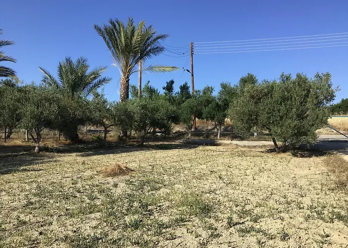 Pervolaris 1 * Goudhi