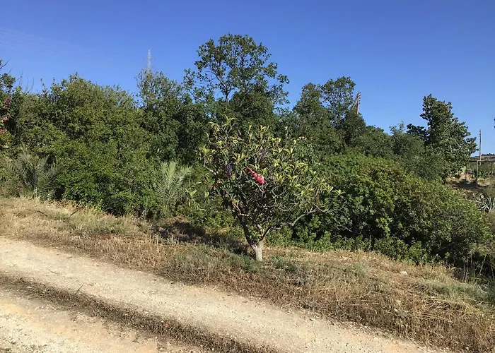 Pervolaris 1 Holiday home Goudhi