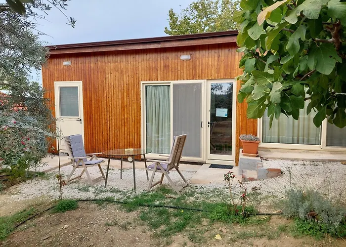 Pervolaris 1 * Goudhi