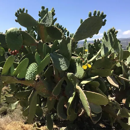 Pervolaris 1 Σπίτι διακοπών Γουδί