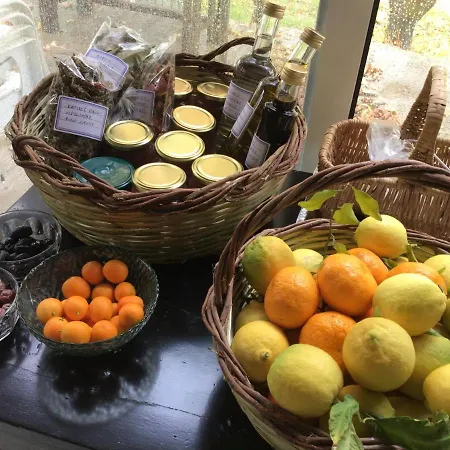 Pervolaris 1 Prázdninový dům *