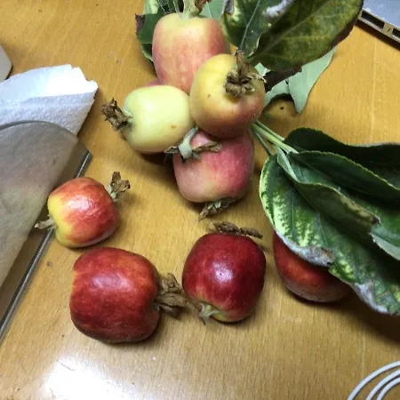 Σπίτι διακοπών Pervolaris 1 Γουδί