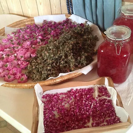 Σπίτι διακοπών Pervolaris 1 *