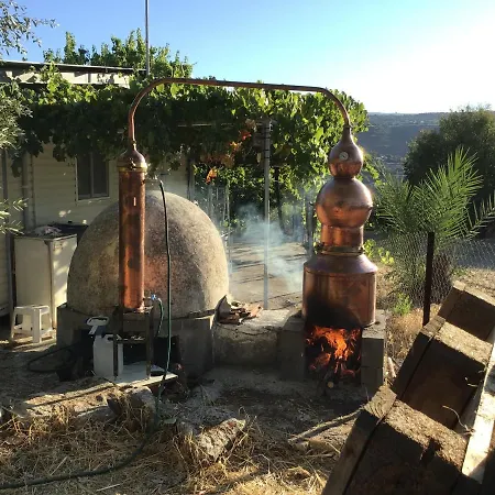 Pervolaris 1 * Goudhi