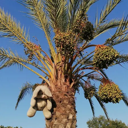 Prázdninový dům Pervolaris 1 *