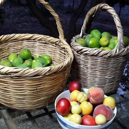 Pervolaris 1 * Γουδί