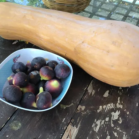 Pervolaris 1 بيت للعطل