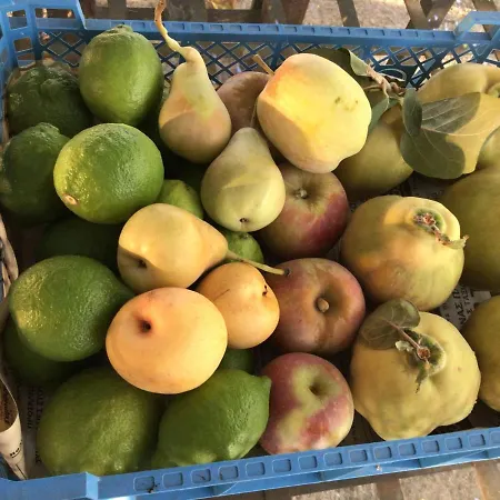 Pervolaris 1 Prázdninový dům Goudhi