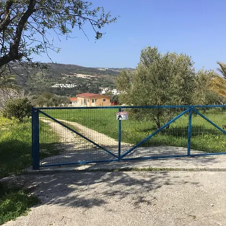 Pervolaris 1 * Goudhi