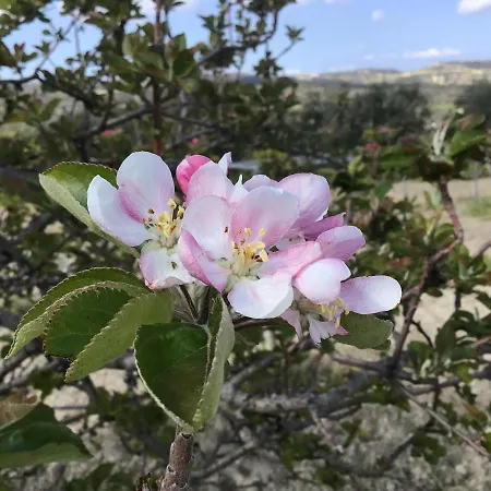 Pervolaris 1 بيت للعطل *