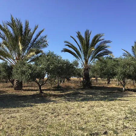 بيت للعطل Pervolaris 1 *