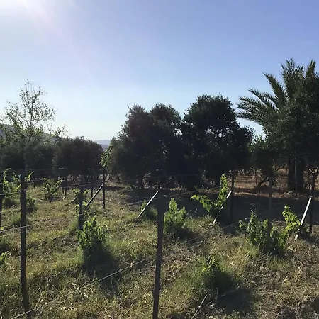 Pervolaris 1 Holiday home Goudhi