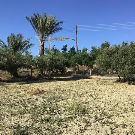 Pervolaris 1 * Goudhi