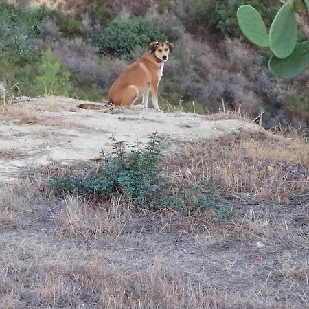 Pervolaris 1 Σπίτι διακοπών Γουδί