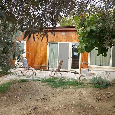 Pervolaris 1 * Γουδί