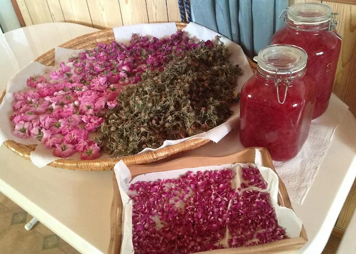 Сasa de vacaciones Pervolaris 1 *