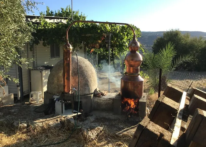 Pervolaris 1 * Goudhi