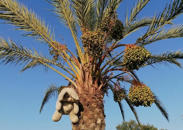 Semesterbostad Pervolaris 1 *