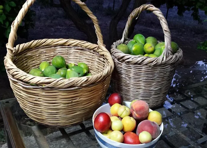 Pervolaris 1 * Goudhi