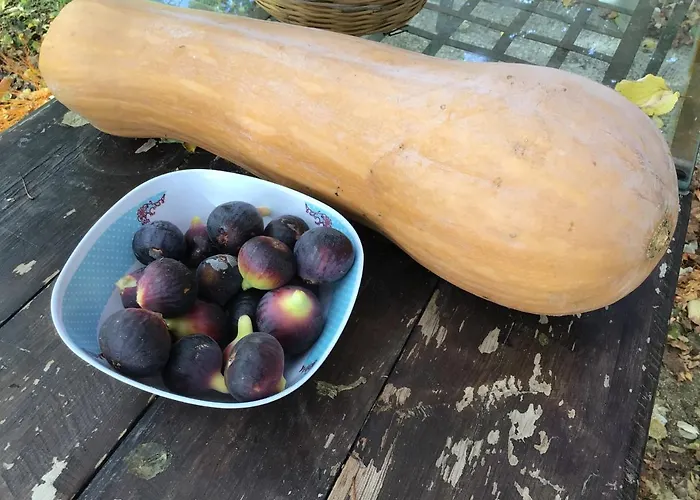 Pervolaris 1 Semesterbostad