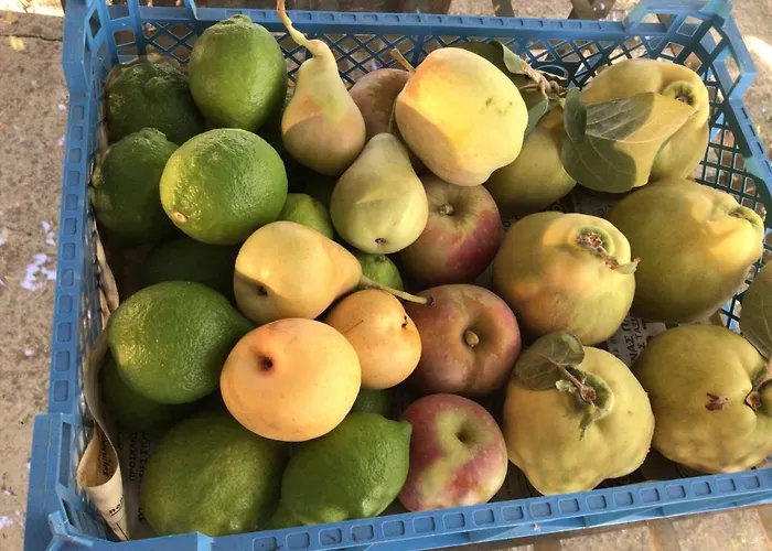 Pervolaris 1 Semesterbostad Goudhi