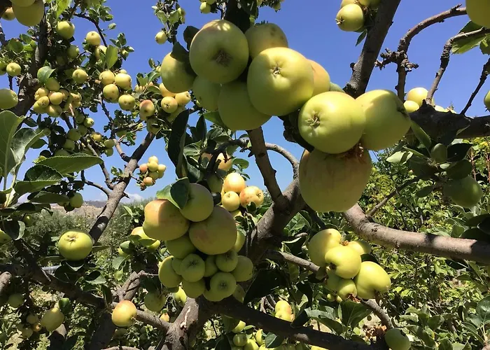 Pervolaris 1 Сasa de vacaciones *