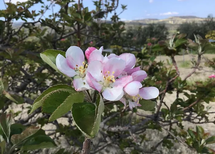 Pervolaris 1 Сasa de vacaciones *