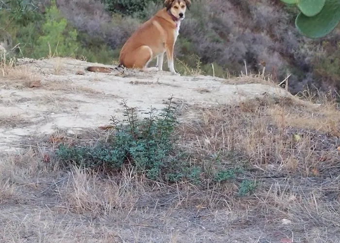 Pervolaris 1 Semesterbostad Goudhi